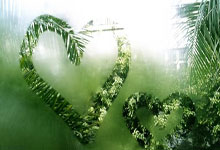 -当伯纳乌遇见斯台普斯：绝杀风暴席卷两大战场