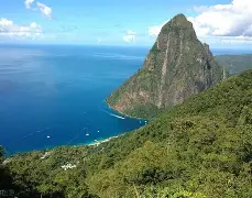 圣卢西亚国脚成功披荆斩棘终获自由转会