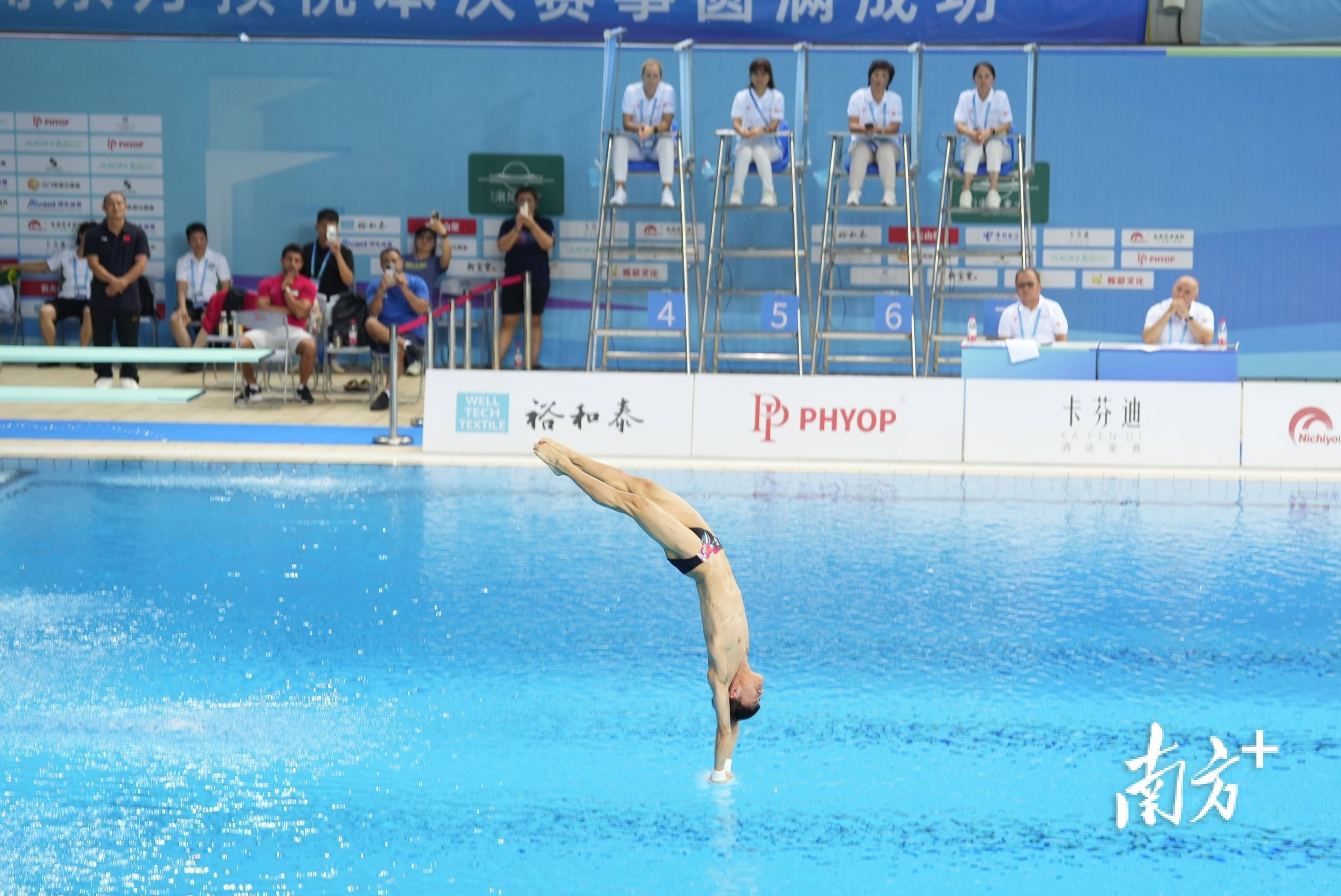 关于柔美身姿！跳水选手纹丝不动入水的信息