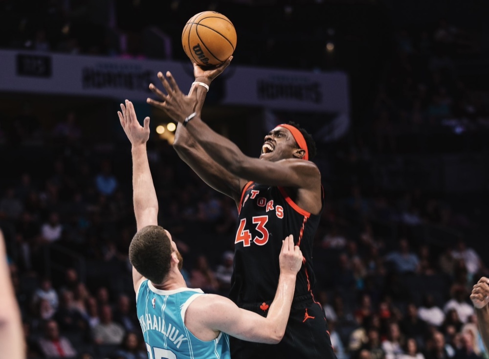 猛龙轻松击败黄蜂，取得胜利