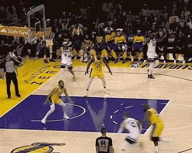 湖人负于黄蜂，遭遇争议判罚