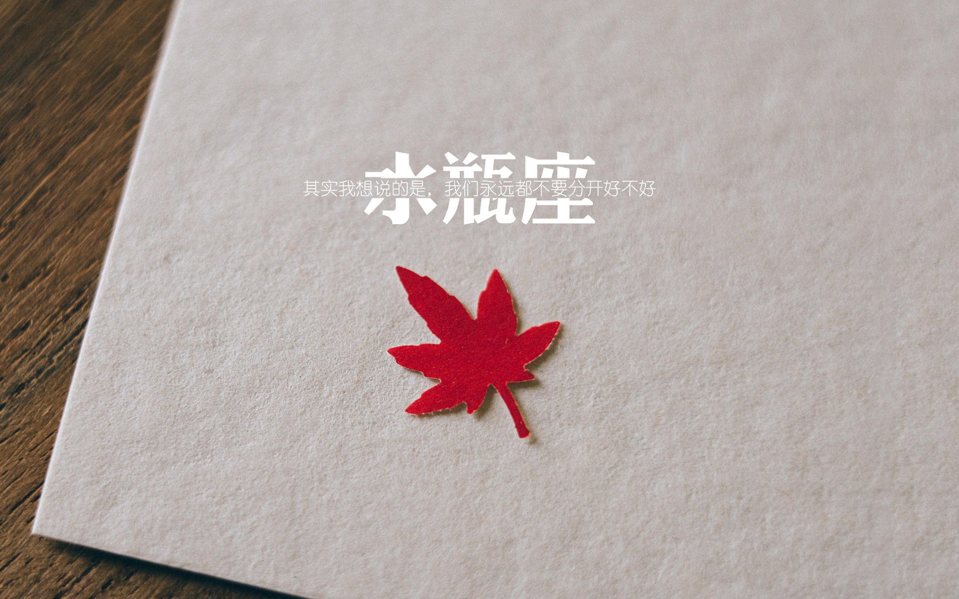 布克如神兵天降，奇才险胜森林狼背后的无解方程式